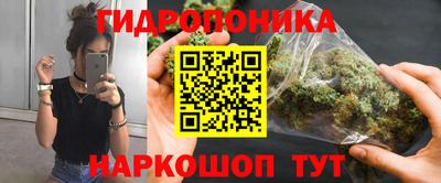 молекула духа Кулебаки
