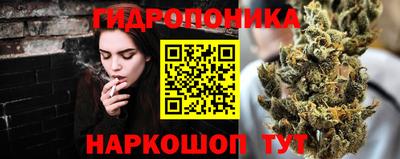 молекула духа Кулебаки