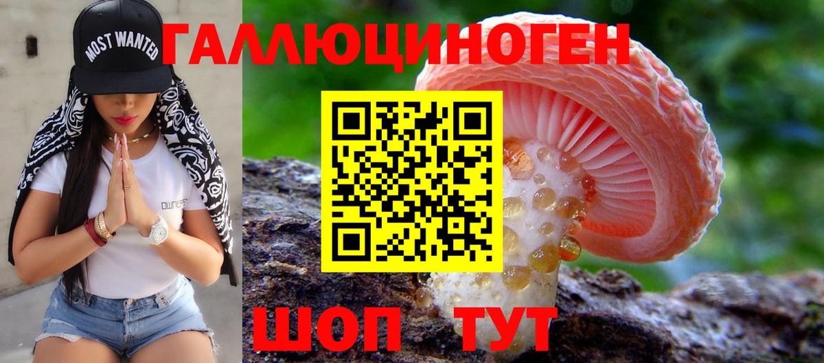 Галлюциногенные грибы Magic Shrooms  Вход с VPN  Галлюциногенные грибы Magic Shrooms  Ишим 